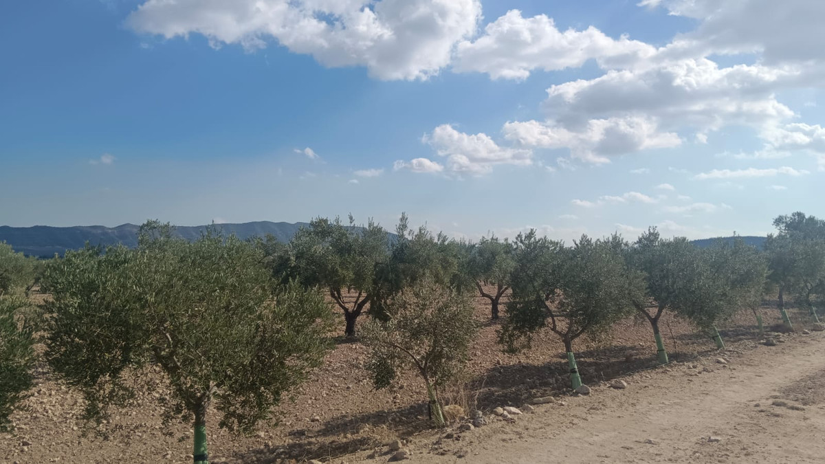Grond te koop in Salinas | 0 slaapkamers H5508718