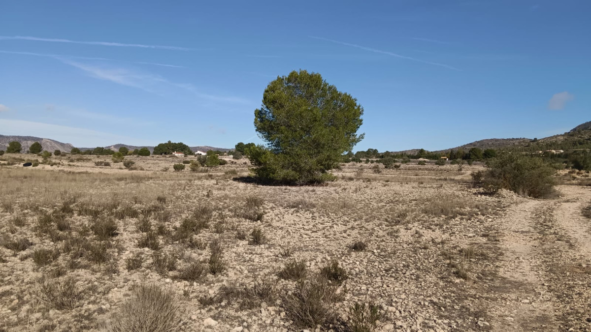 Grond te koop in Salinas | 0 slaapkamers H5509399