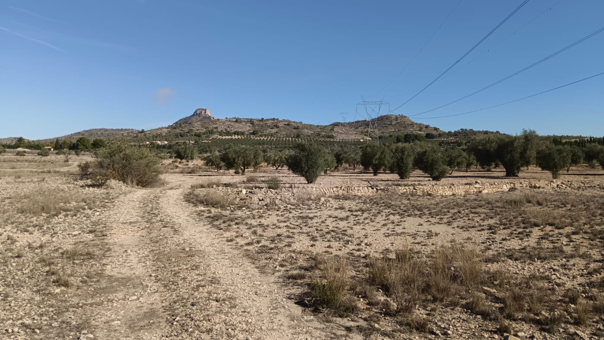 Grond te koop in Salinas | 0 slaapkamers H5509399
