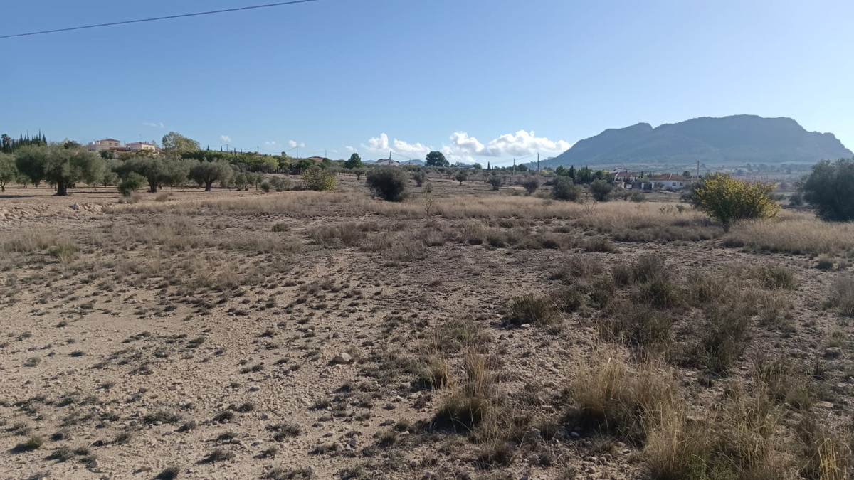 Grond te koop in Salinas | 0 slaapkamers H5509399