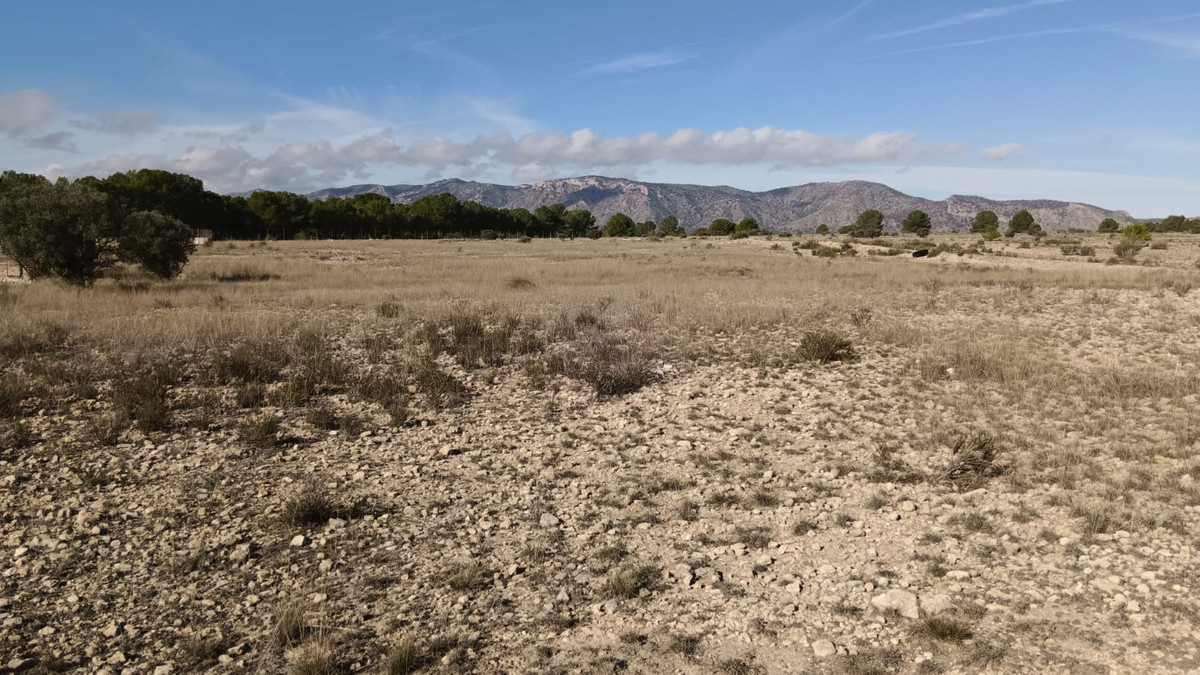 Grond te koop in Salinas | 0 slaapkamers H5509399