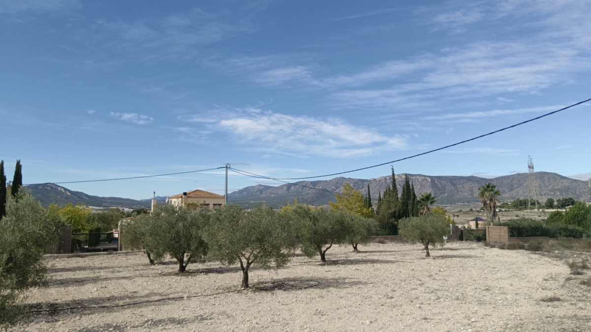 Grond te koop in Salinas | 0 slaapkamers H5510425