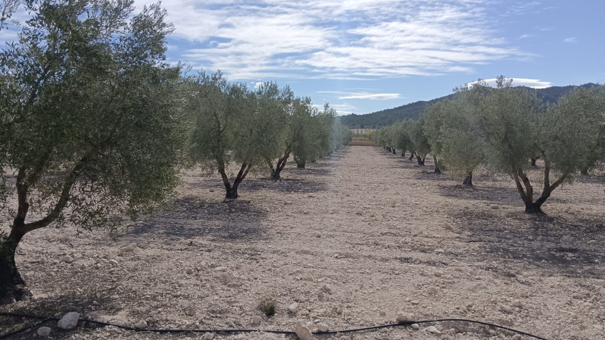 Grond te koop in Salinas | 0 slaapkamers H5510425