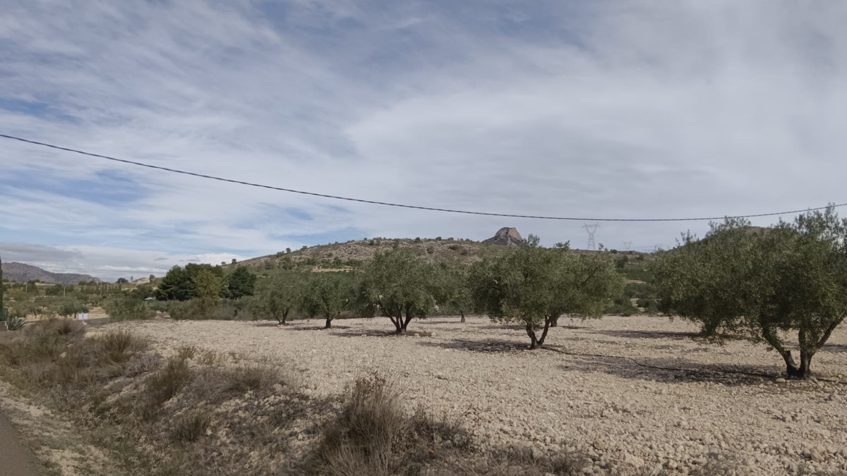 Grond te koop in Salinas | 0 slaapkamers H5510425