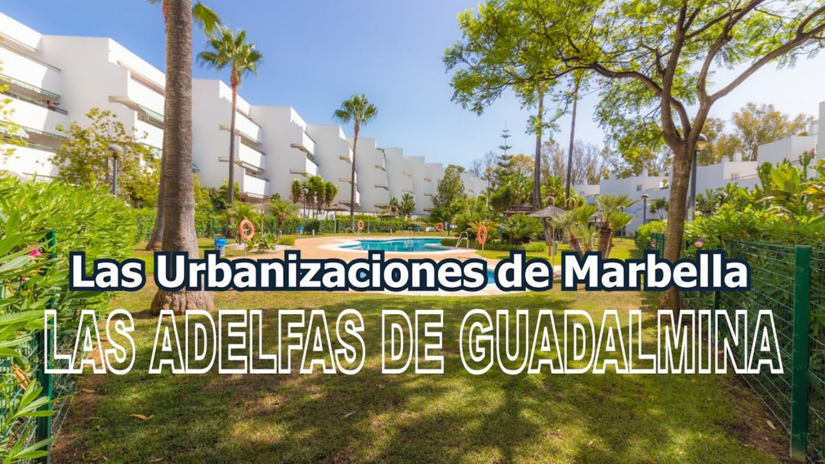 Property main view 2