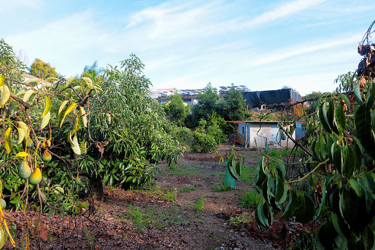 Property main view 22