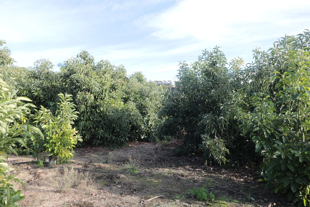 Property main view 23