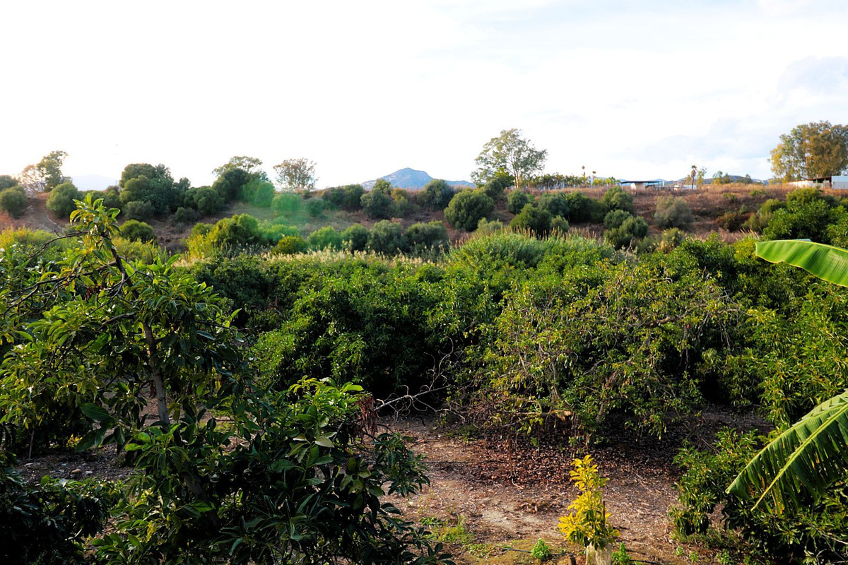 Property main view 24