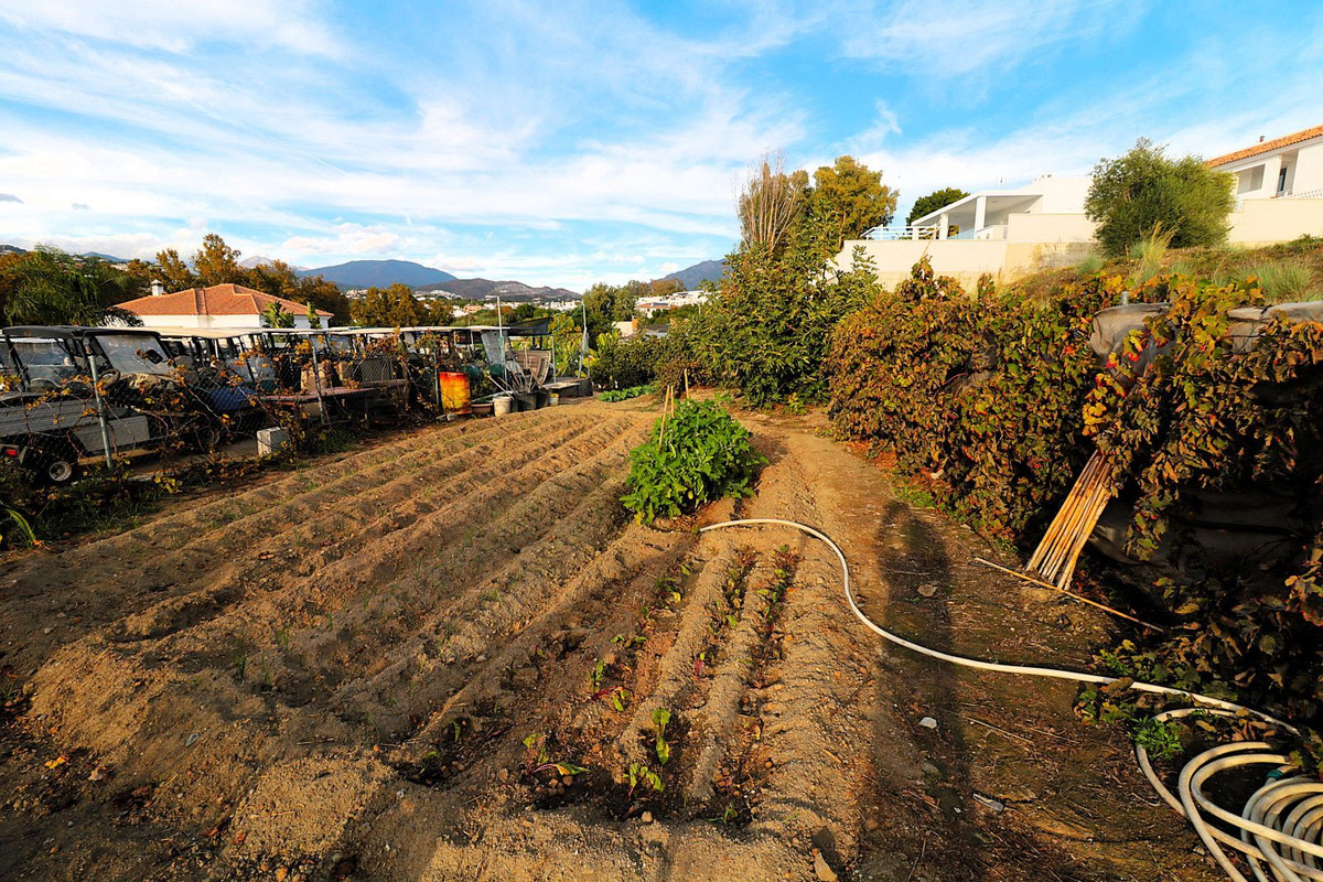 Property main view 25