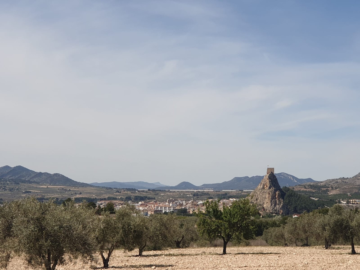 Grond te koop in Sax | 0 slaapkamers H4090111