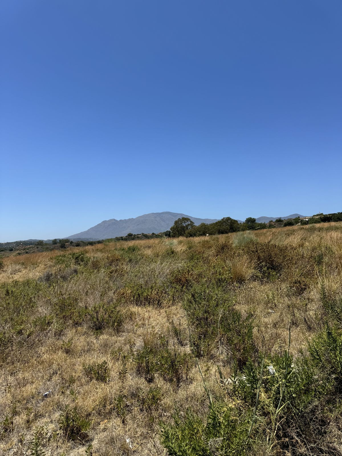 Property main view 15