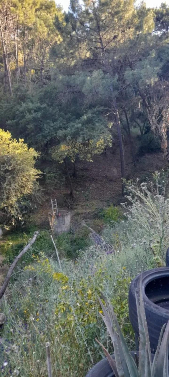 Property main view 8