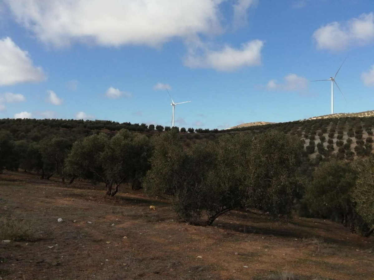 Grond in Sierra de Yeguas-17