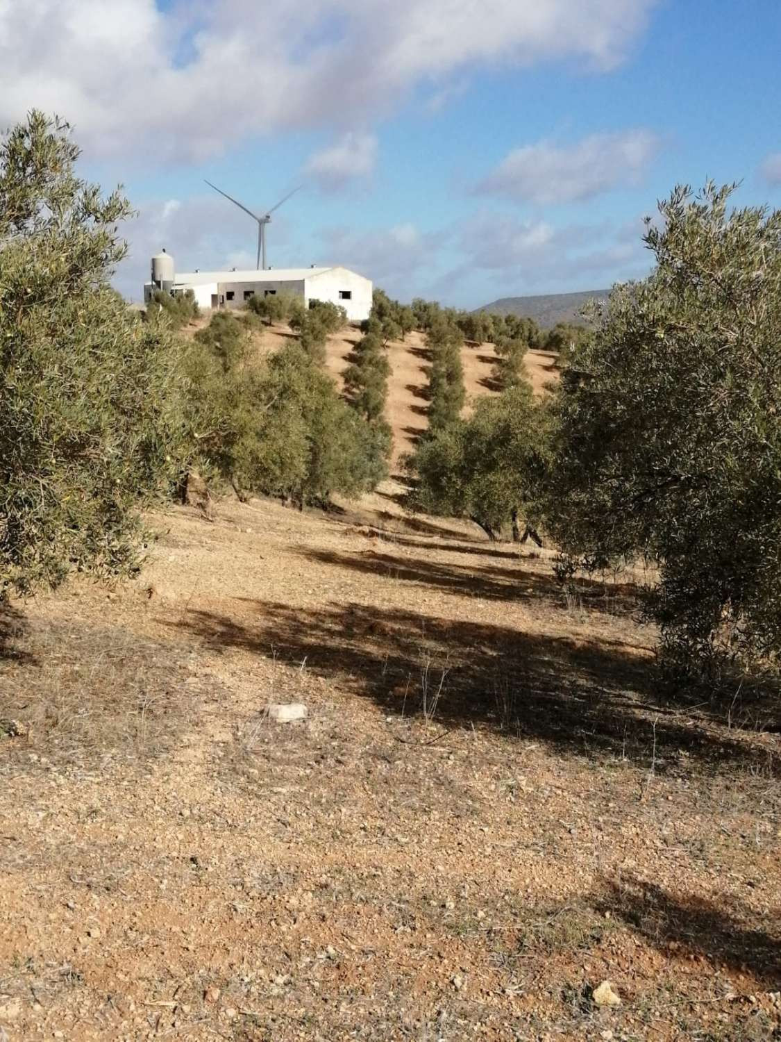 Grond in Sierra de Yeguas-2