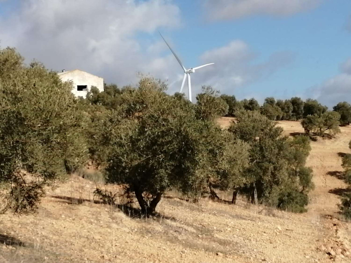 Grond in Sierra de Yeguas-3