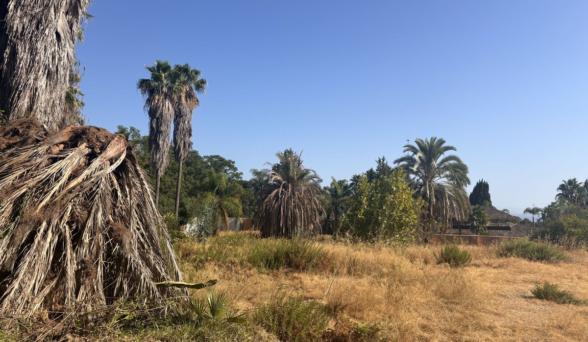 Property main view 7