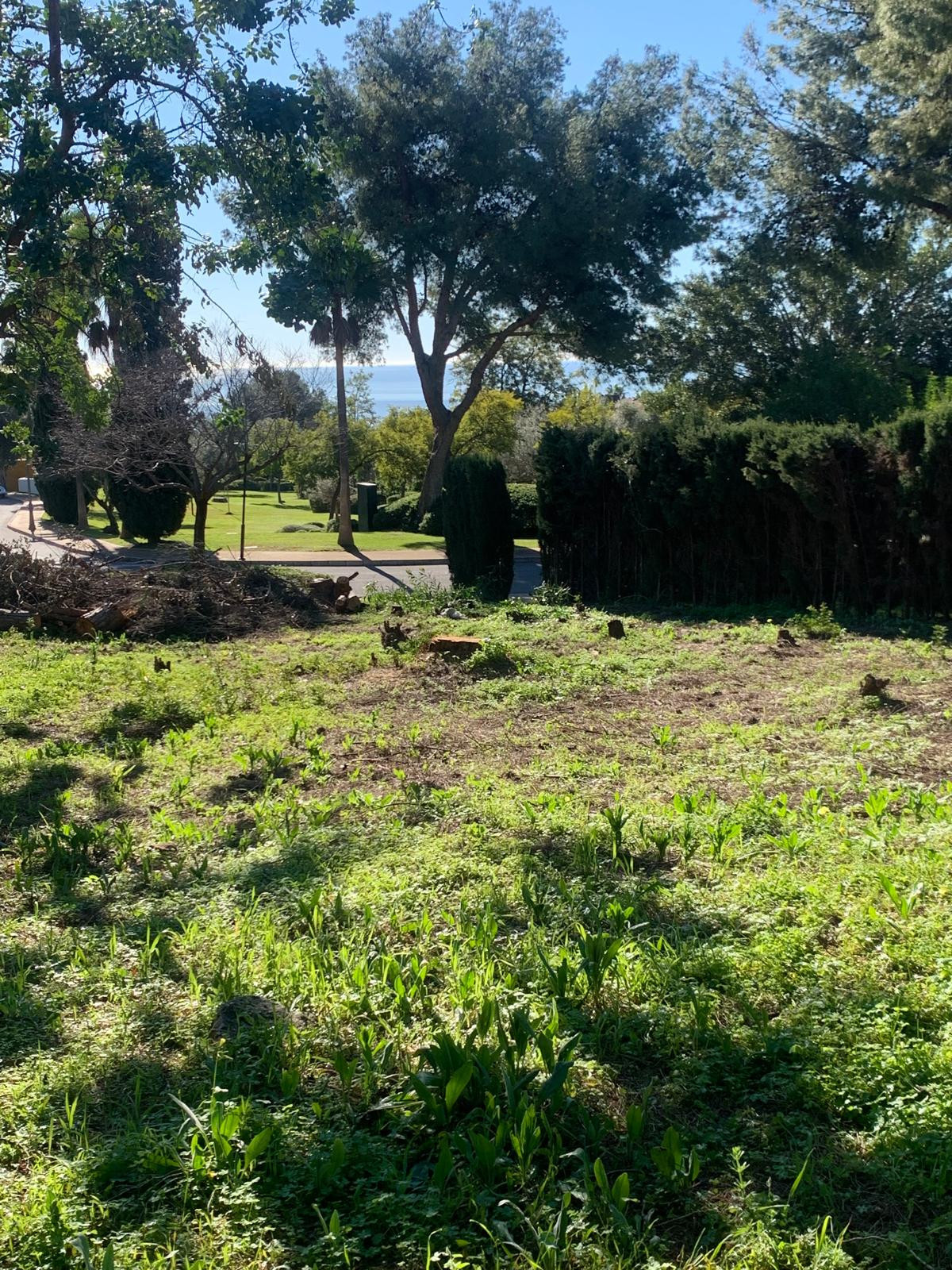 Grond te koop in The Golden Mile | 0 slaapkamers H5357848