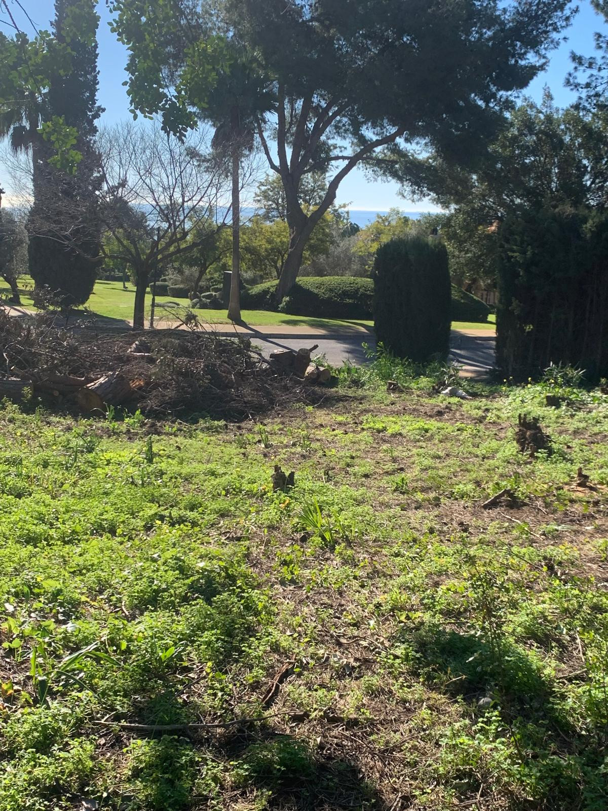 Grond te koop in The Golden Mile | 0 slaapkamers H5357848