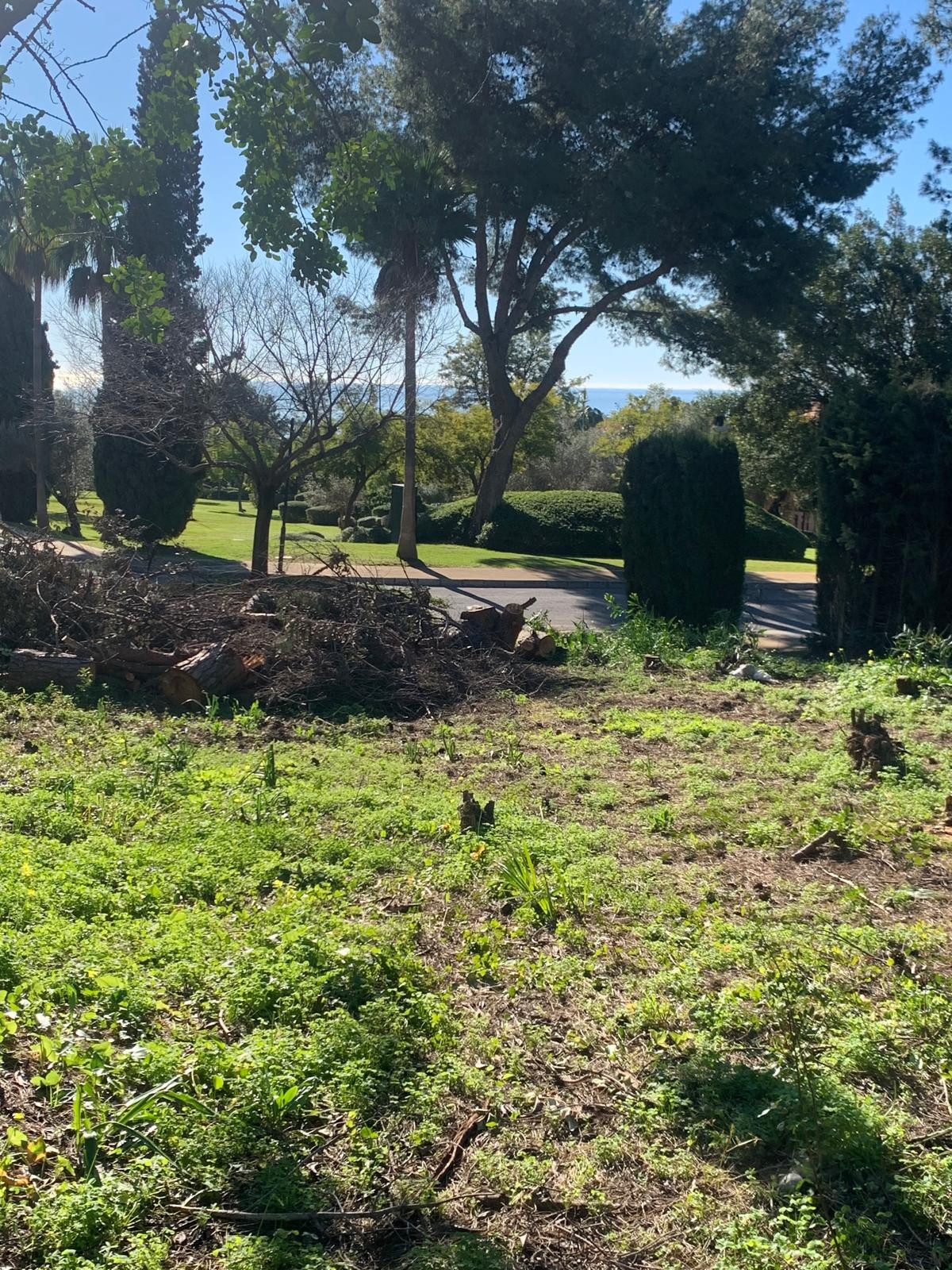 Grond te koop in The Golden Mile | 0 slaapkamers H5357848