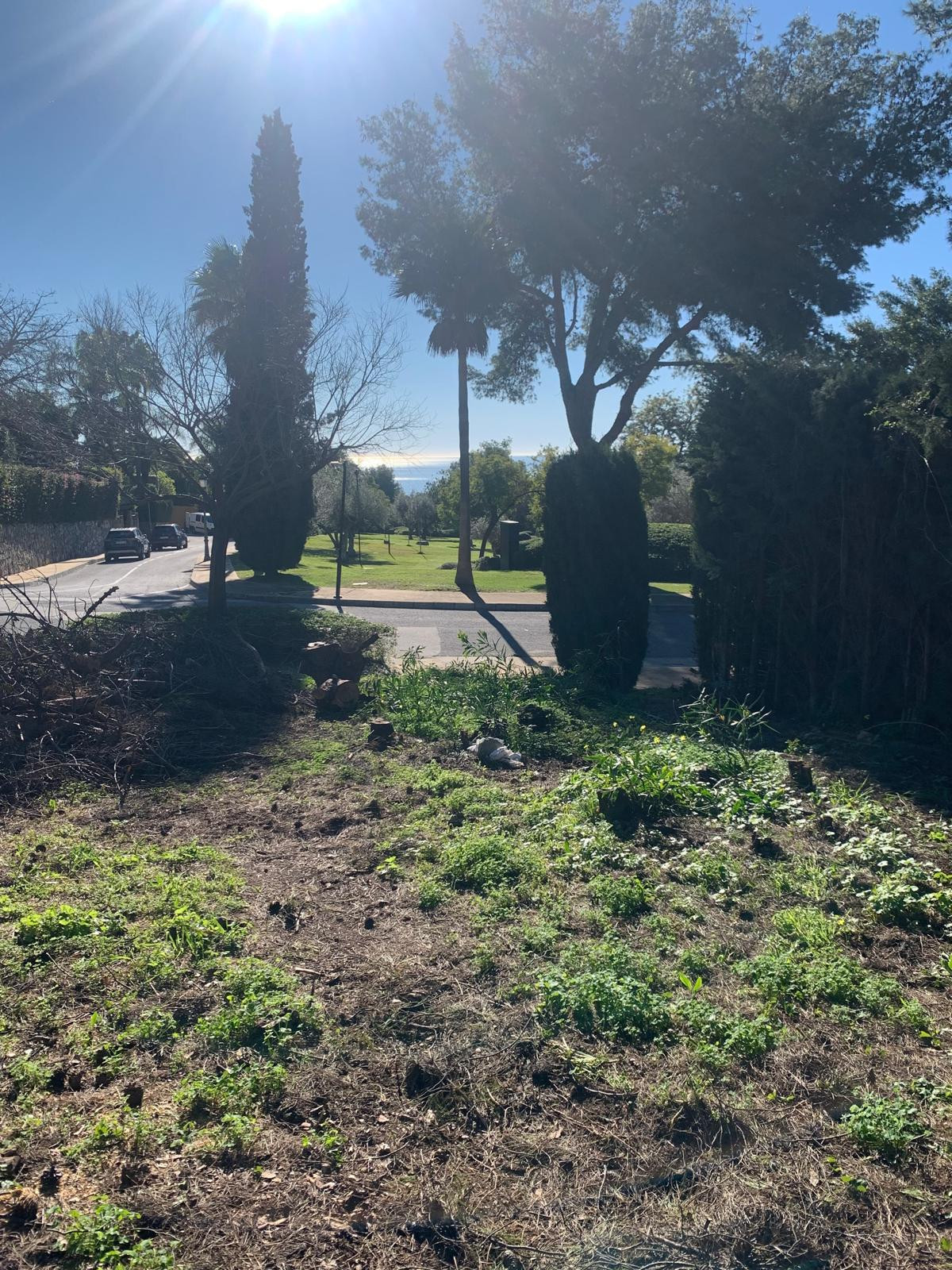 Grond te koop in The Golden Mile | 0 slaapkamers H5357848