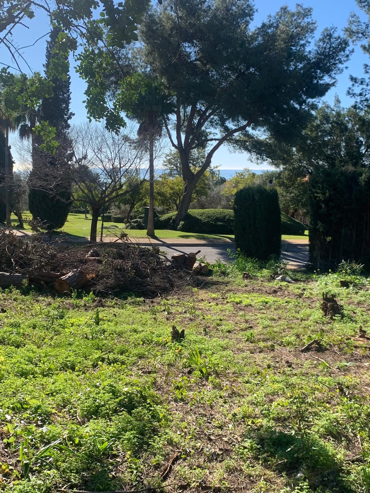 Grond te koop in The Golden Mile | 0 slaapkamers H5357848