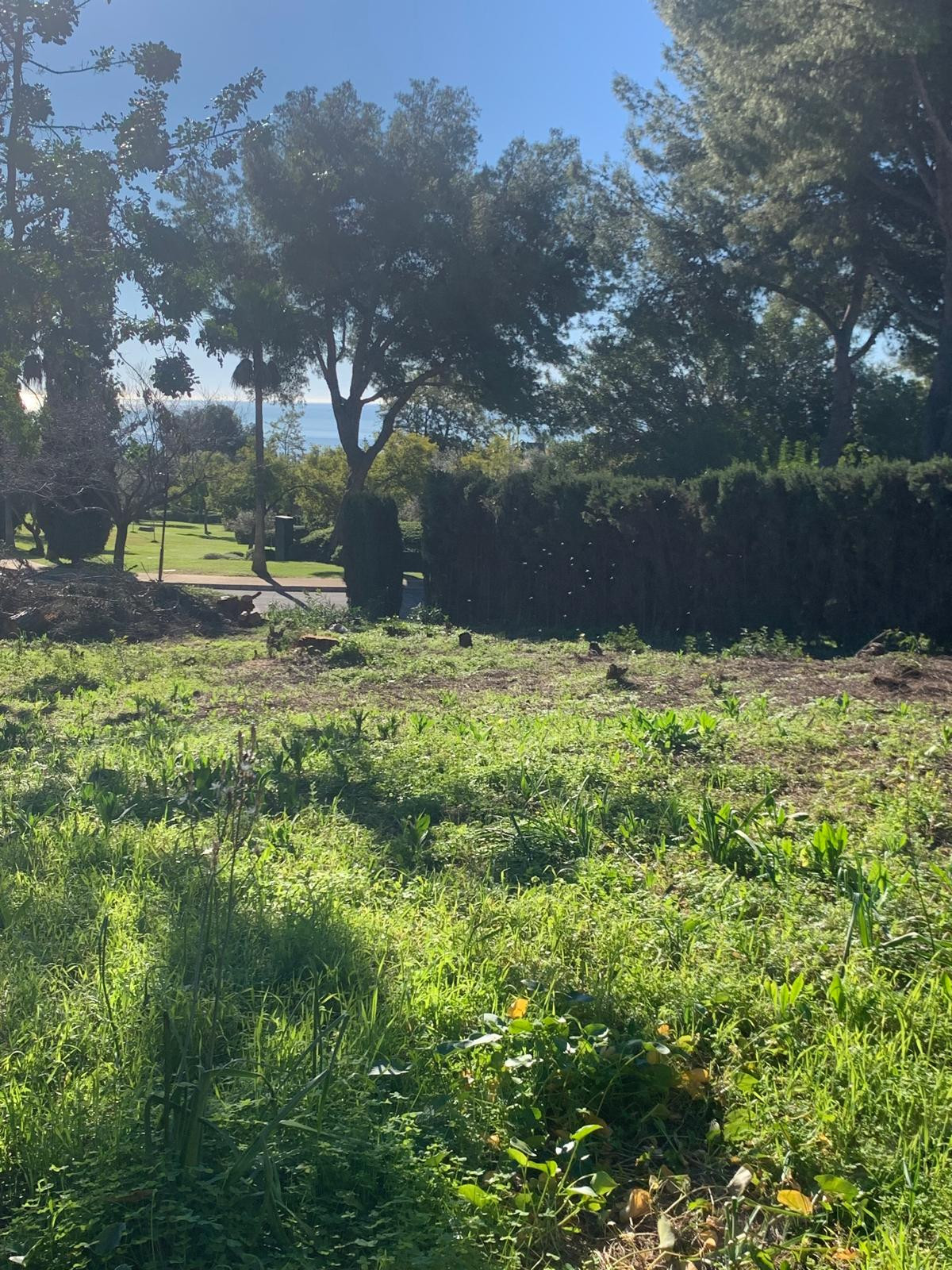 Grond te koop in The Golden Mile | 0 slaapkamers H5357848