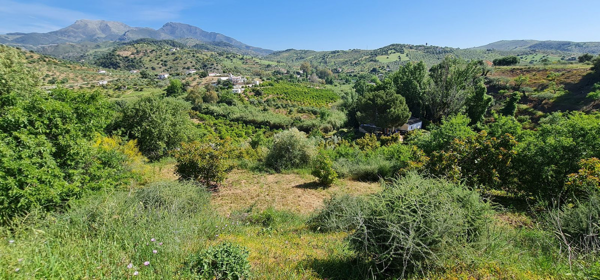 Property main view 10