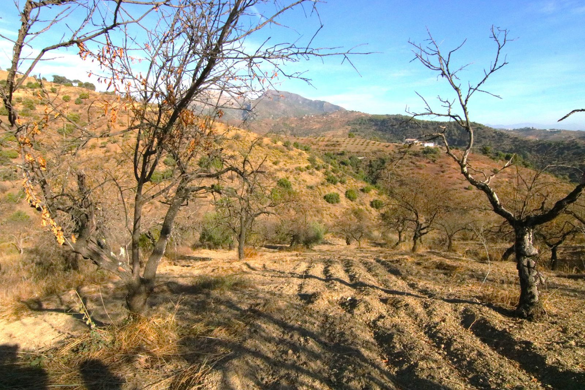 Grond in Tolox-1