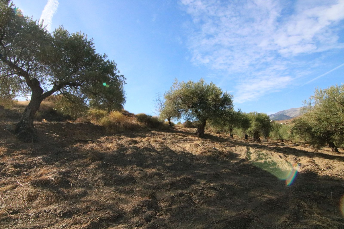 Grond in Tolox-15