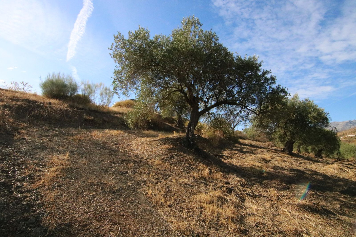 Grond in Tolox-16