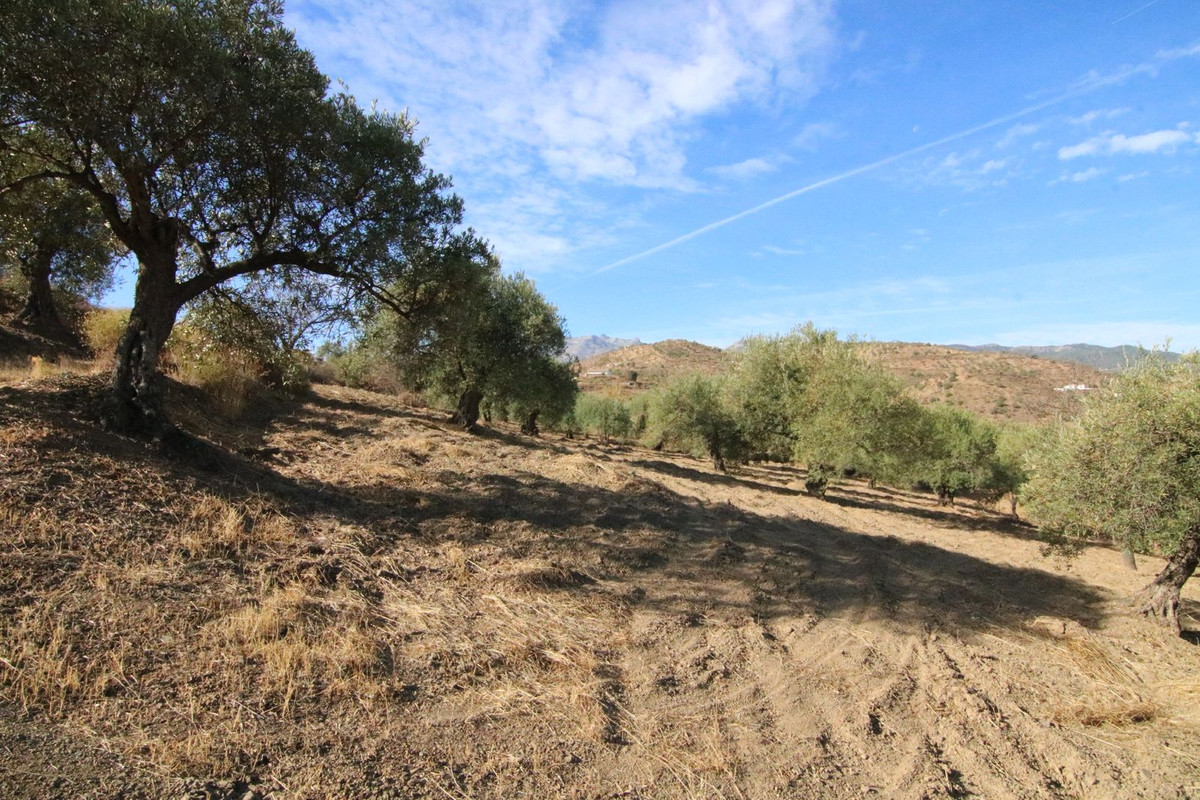 Grond in Tolox-17