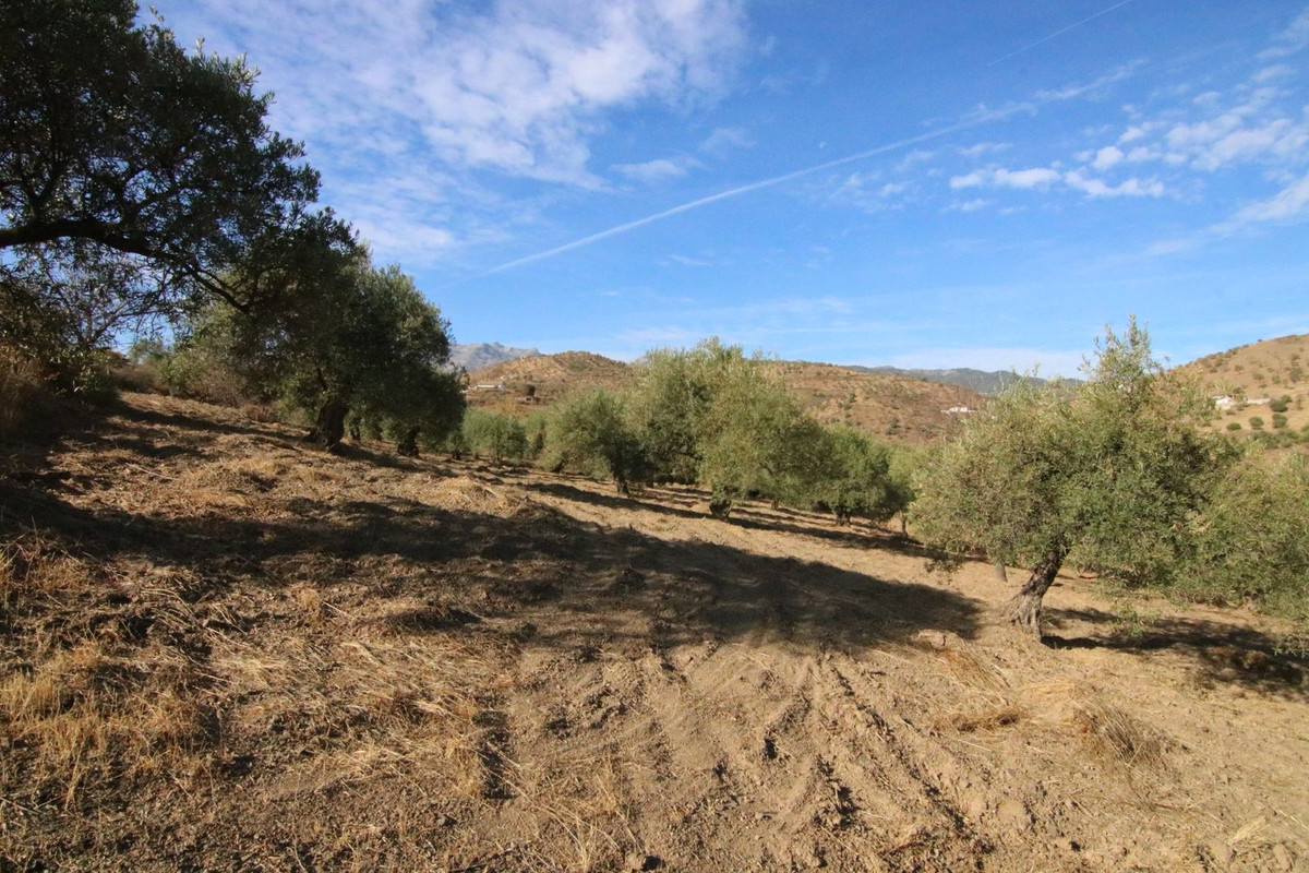 Grond in Tolox-18