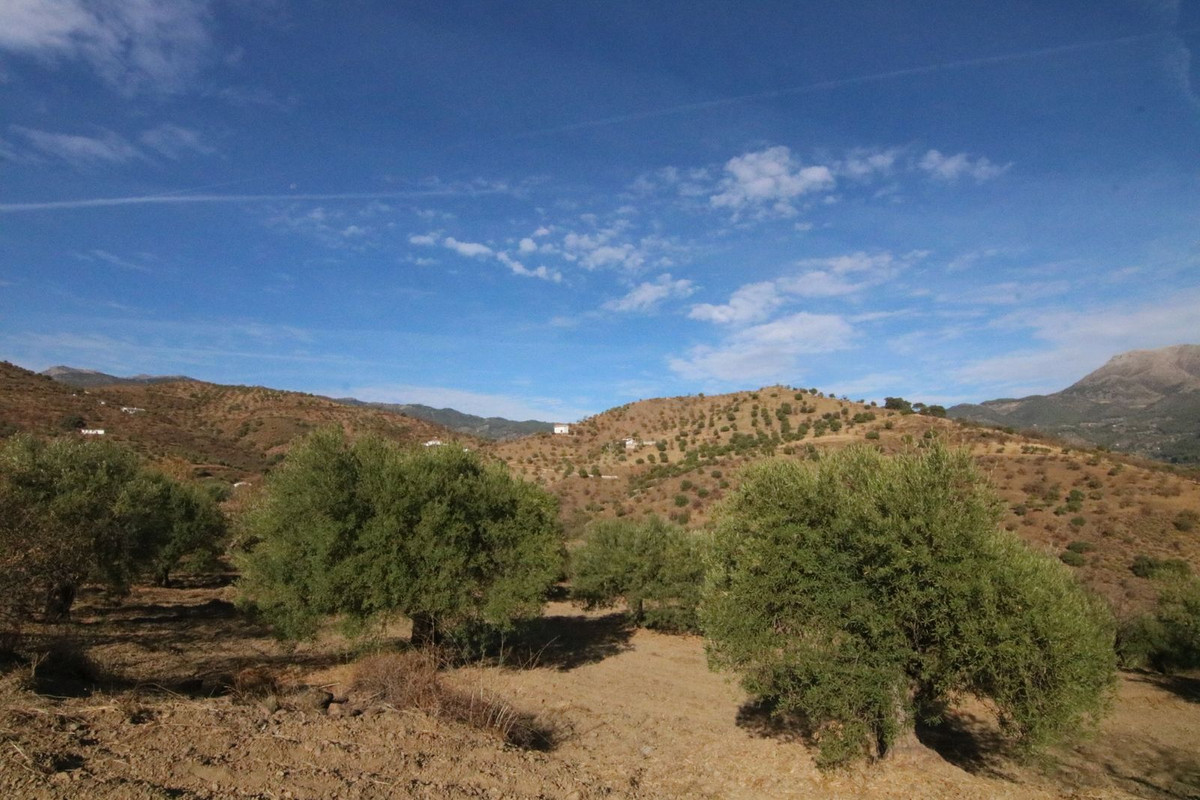 Grond in Tolox-22