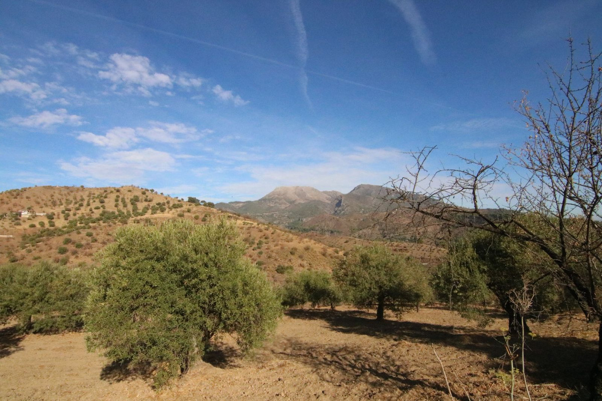 Grond in Tolox-23