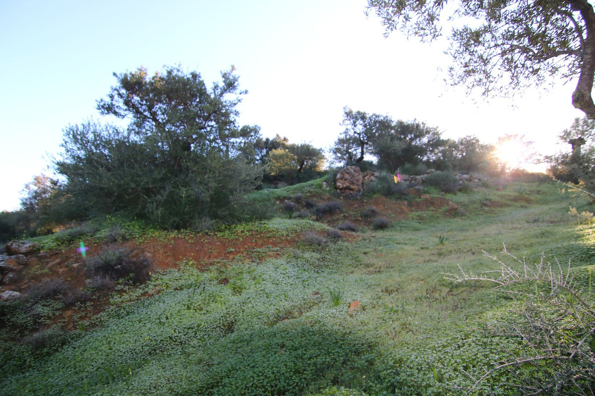 Grond in Tolox-7