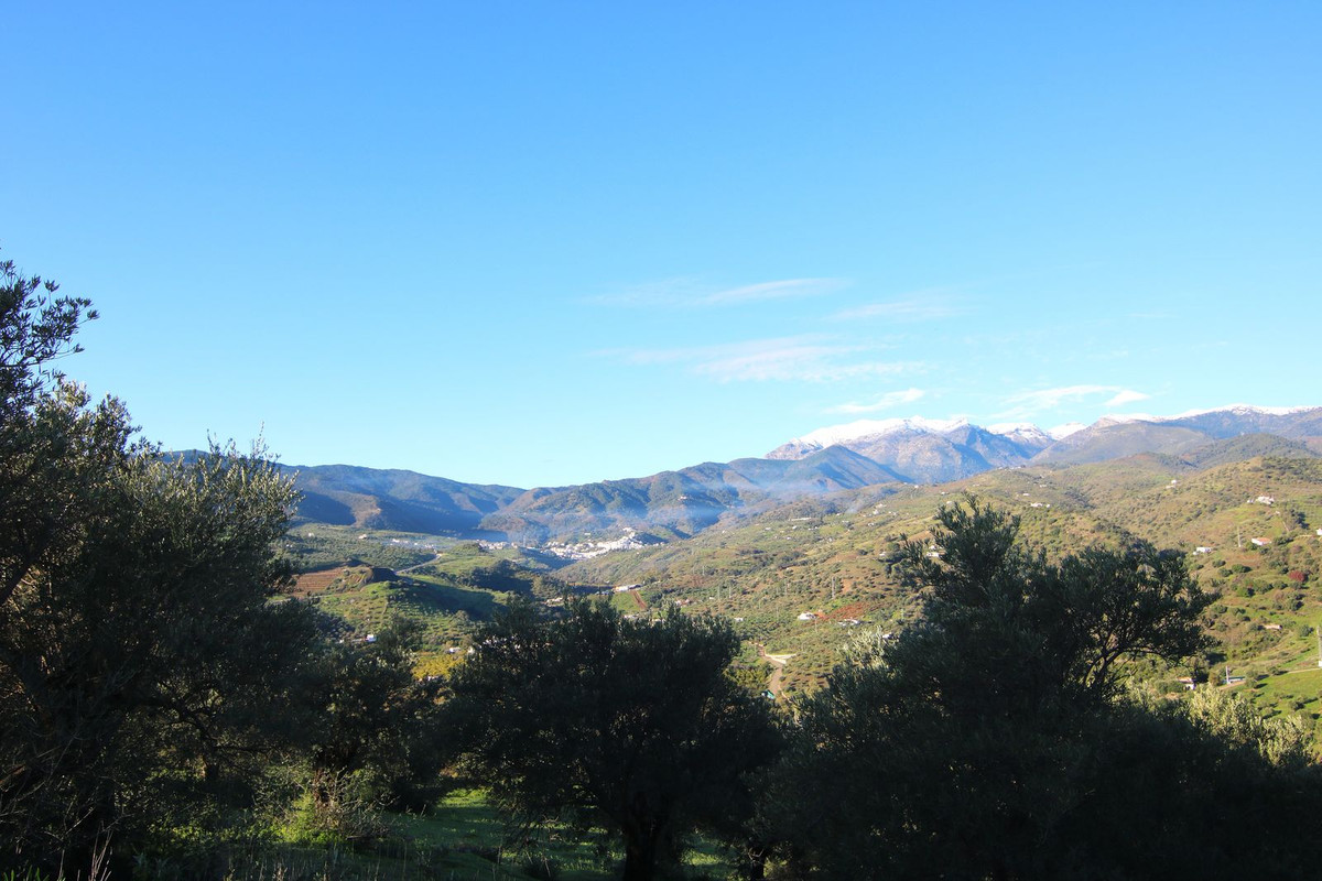 Grond in Tolox-8