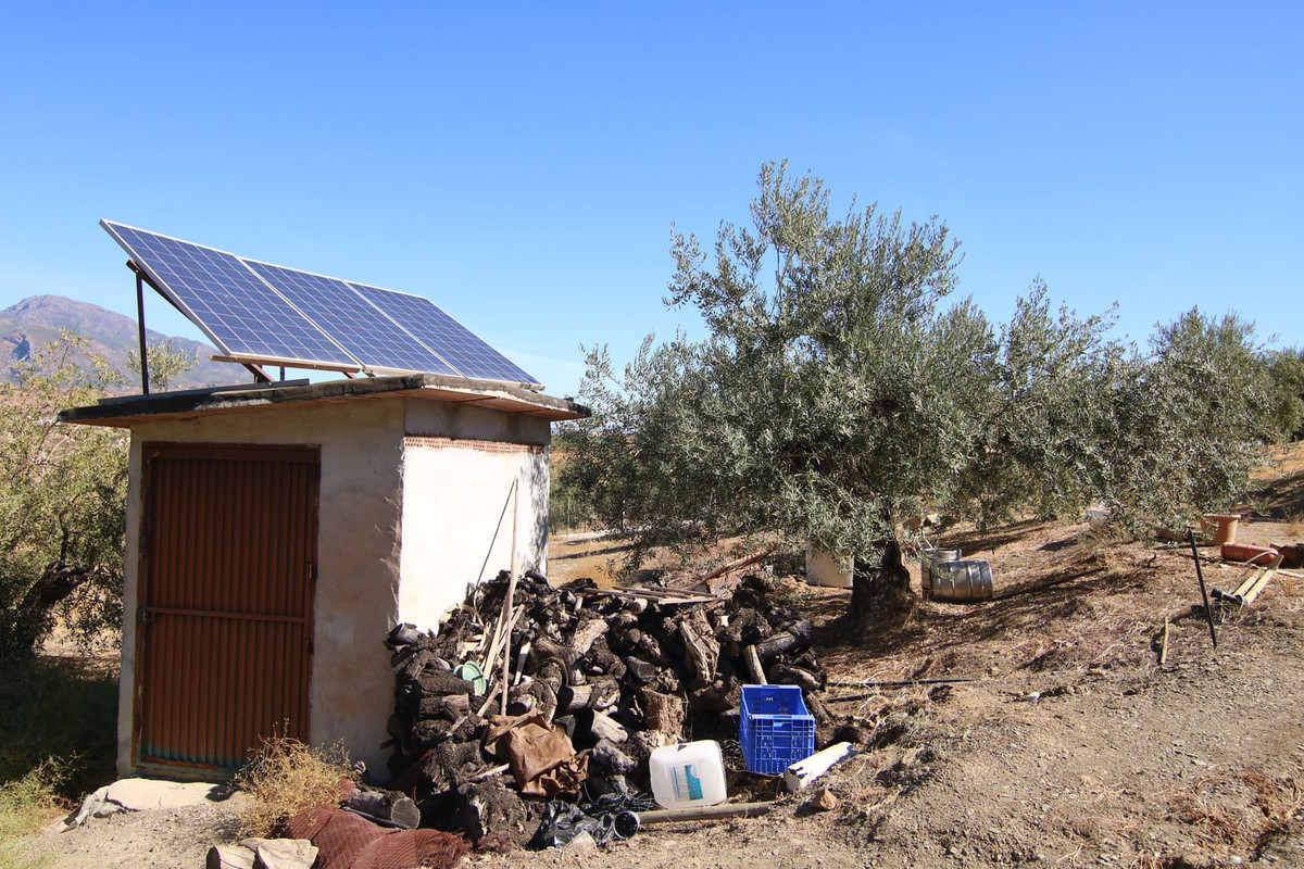 Grond te koop in Tolox | 0 slaapkamers H5191954