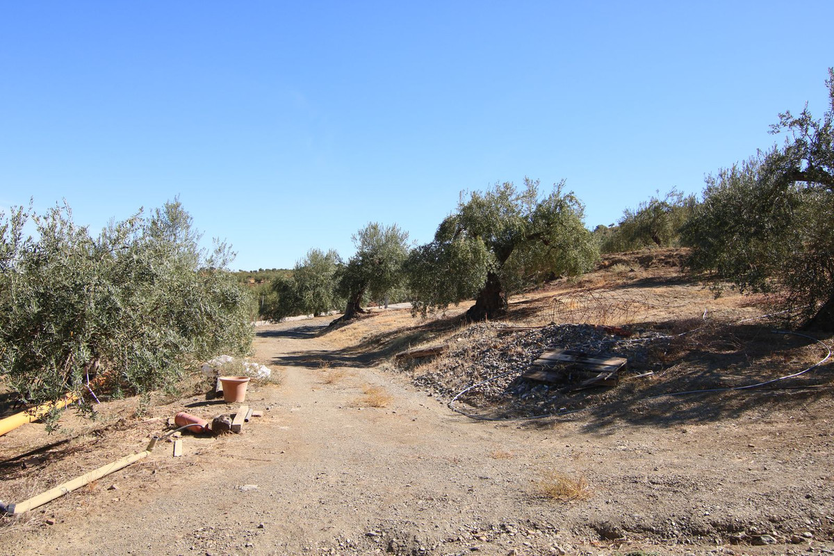 Grond te koop in Tolox | 0 slaapkamers H5191954