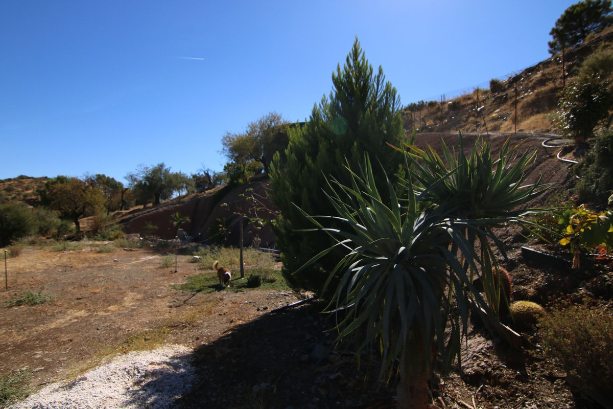 Grond te koop in Tolox | 0 slaapkamers H5191954