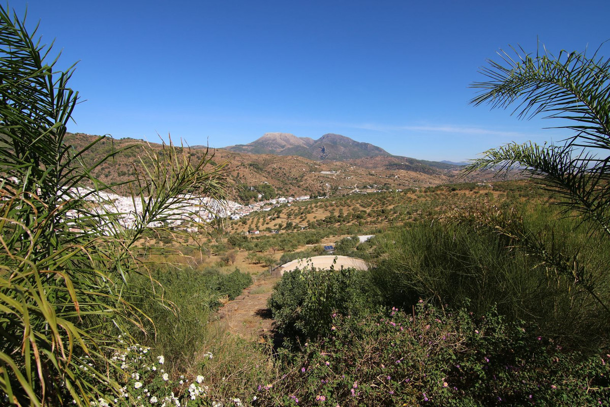 Grond te koop in Tolox | 0 slaapkamers H5191954