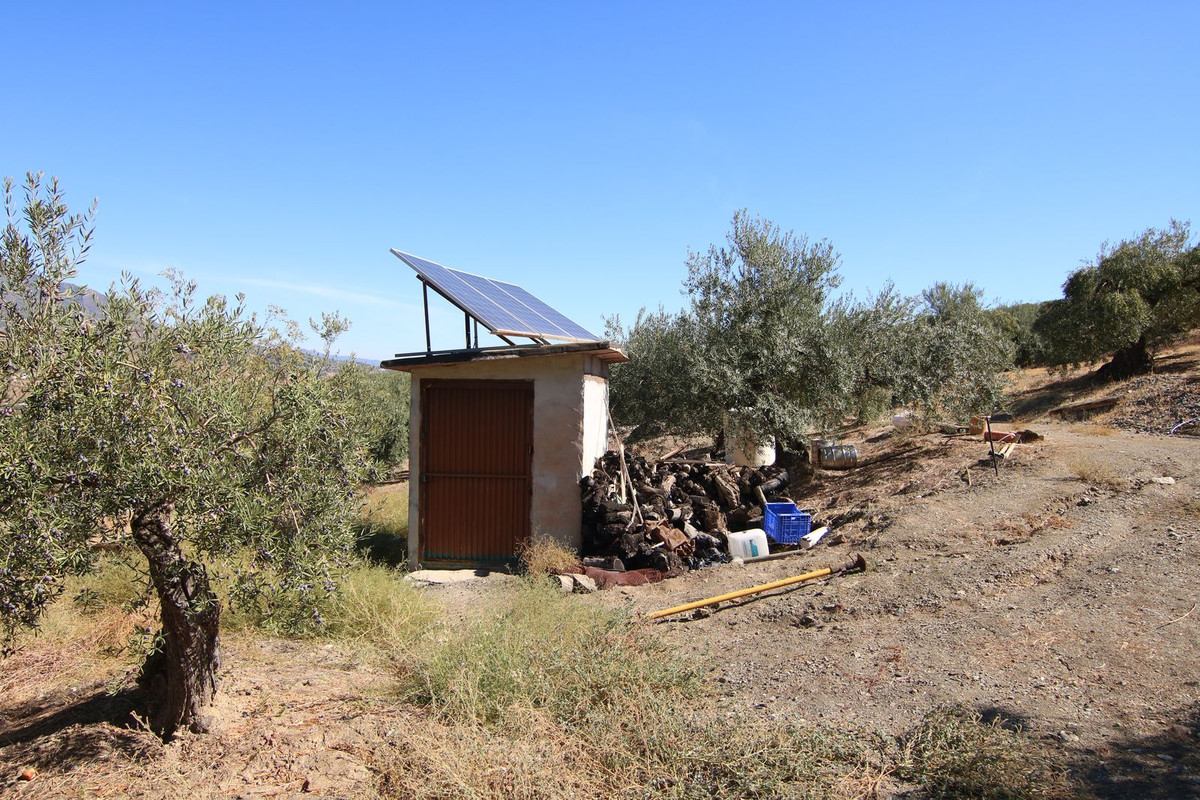 Grond te koop in Tolox | 0 slaapkamers H5191954