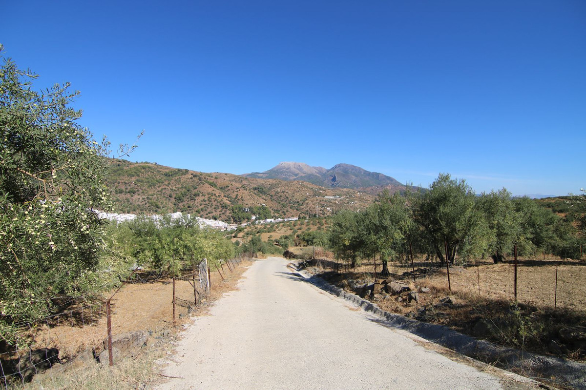 Grond te koop in Tolox | 0 slaapkamers H5191954