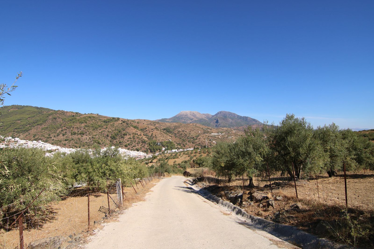 Grond te koop in Tolox | 0 slaapkamers H5191954