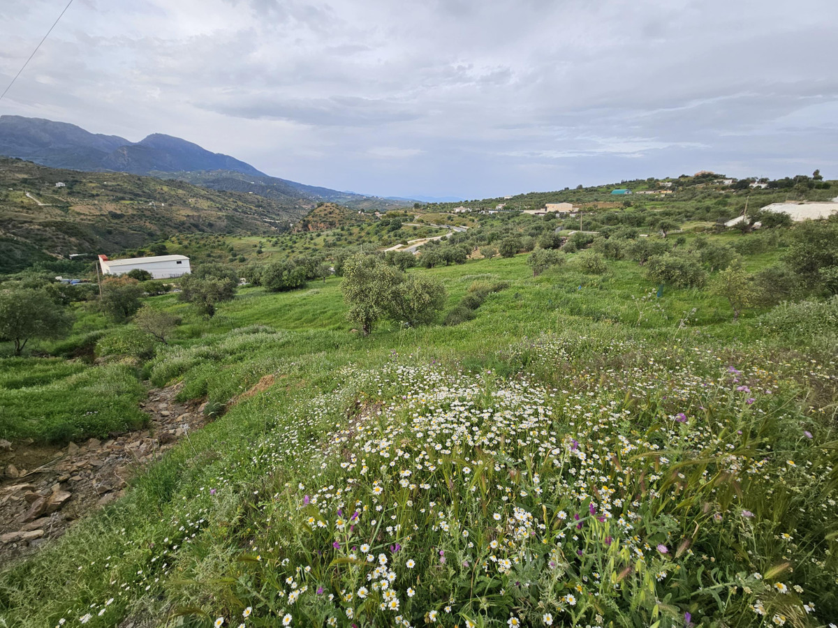Property main view 3