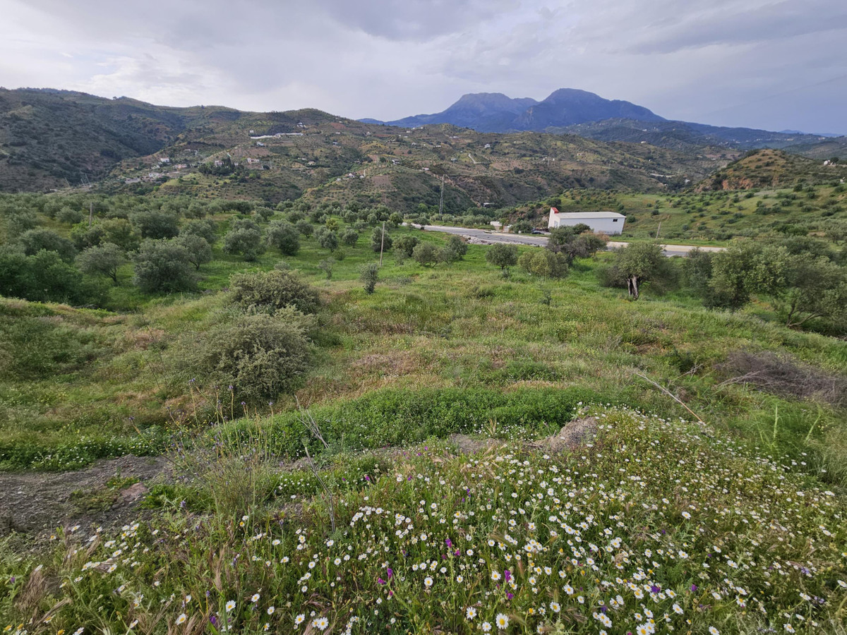 Property main view 6