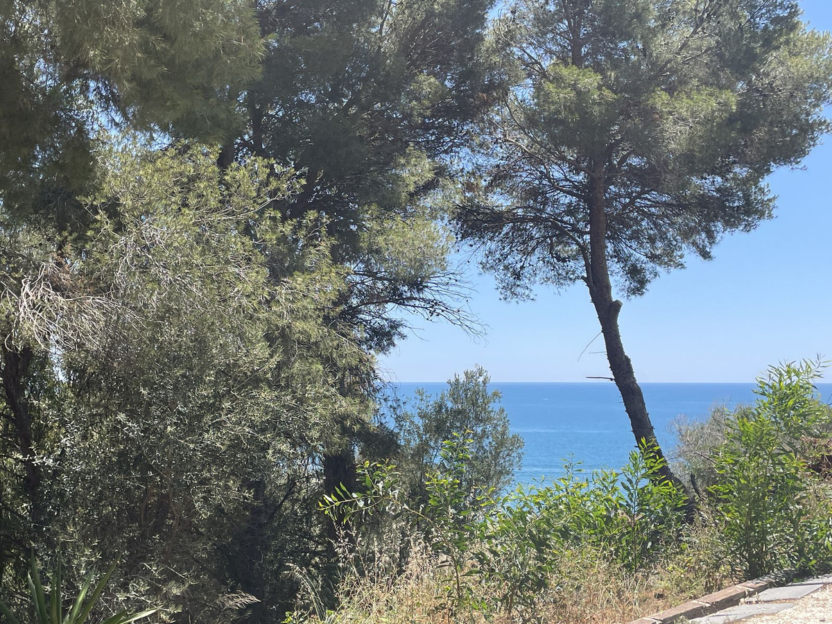 Property main view 3