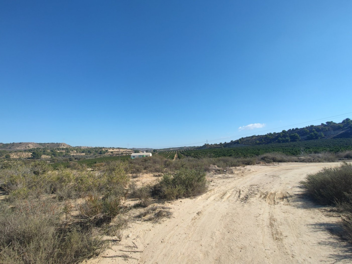 Percelen te koop in Torremendo | 0 slaapkamers H4887028