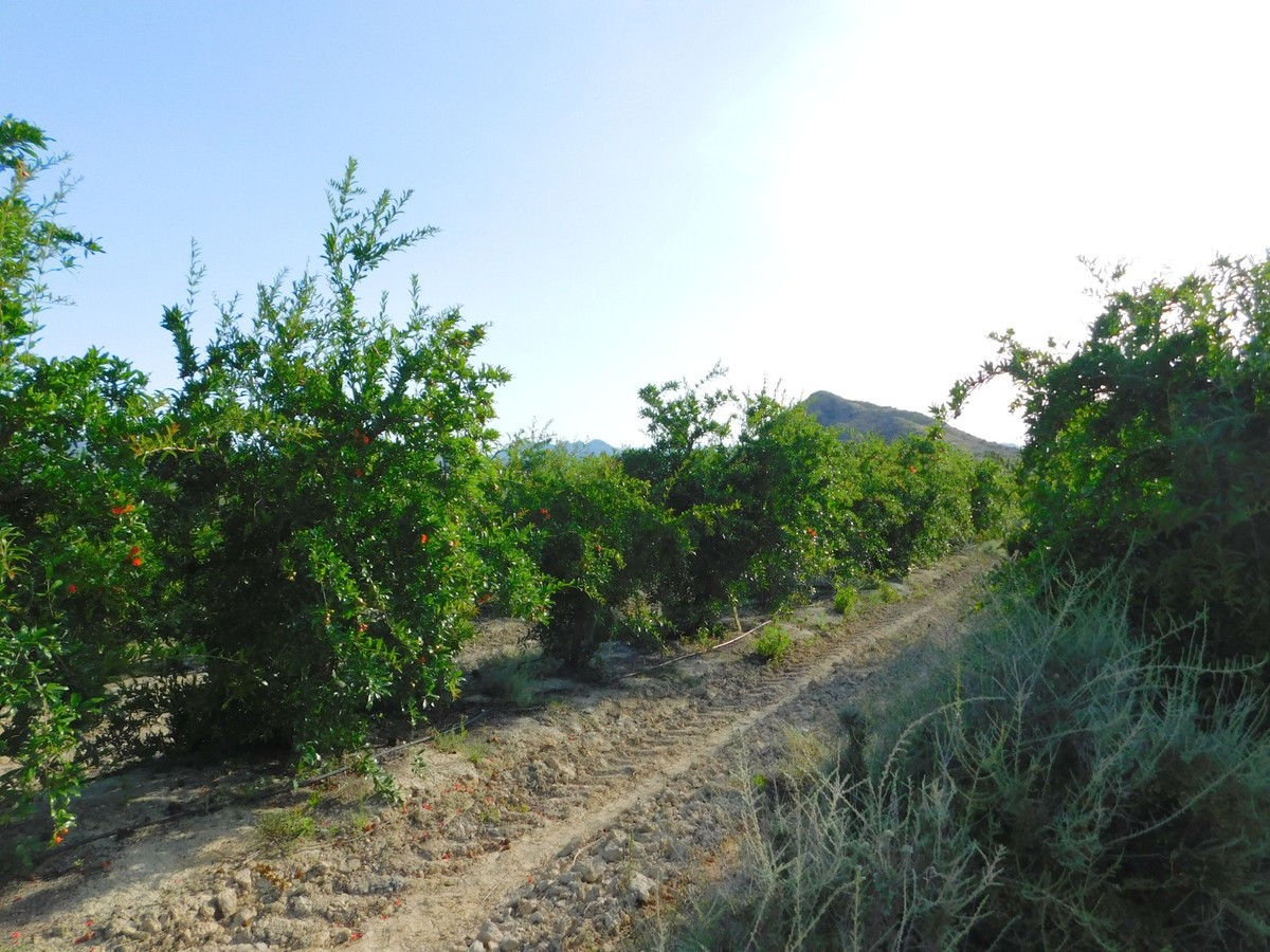 Property main view 3