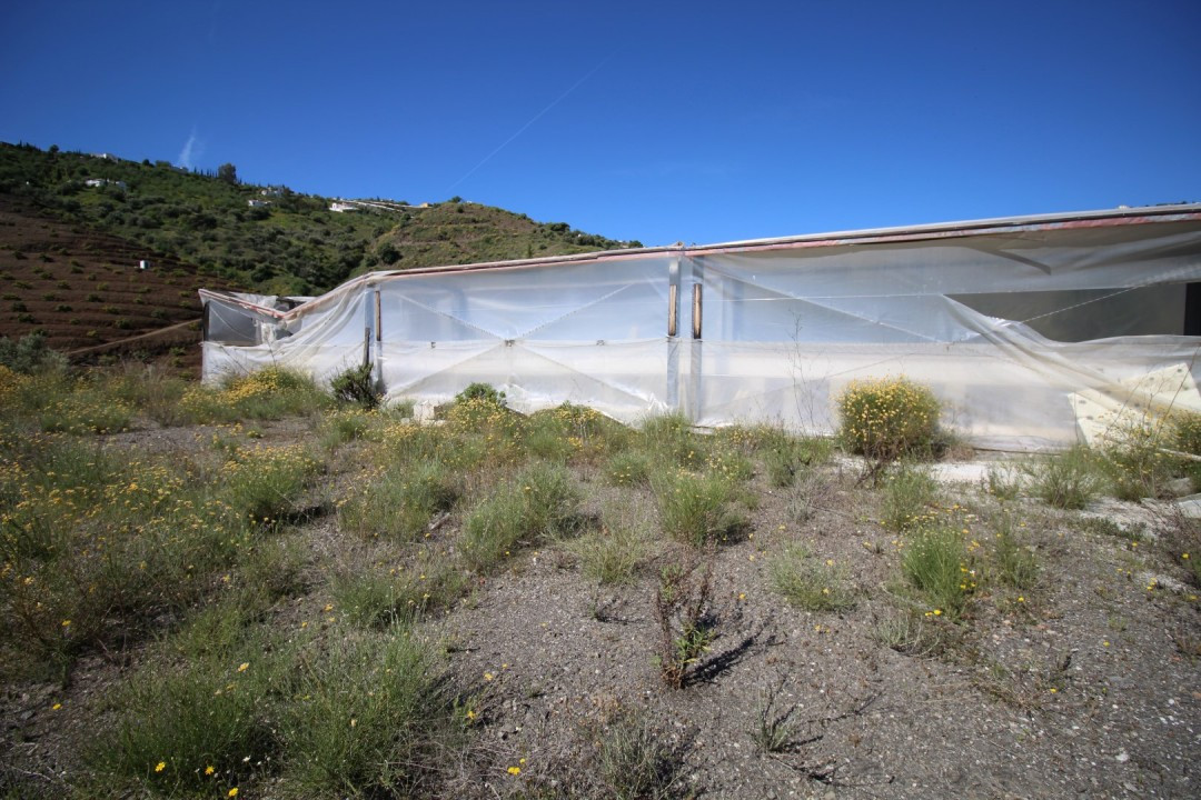 Property main view 12