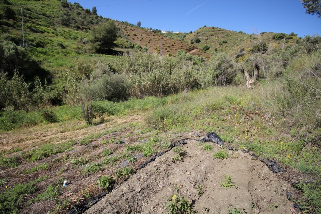 Property main view 15